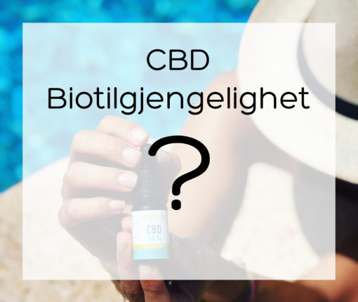 CBD – bioavailability