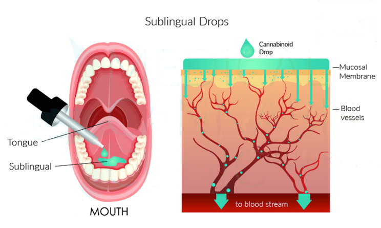 Use of cbd – How to take cbd oil