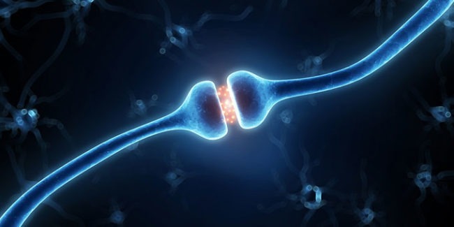 Endocannabinoids and their functions