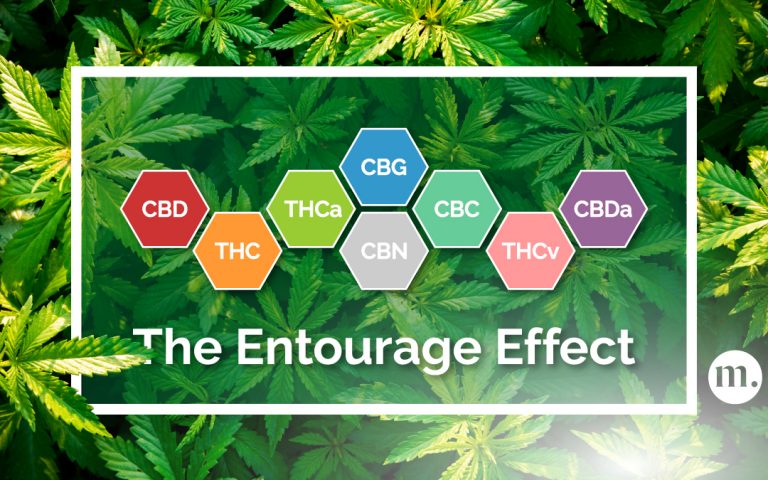 The entourage effect. MELS CBD OIL