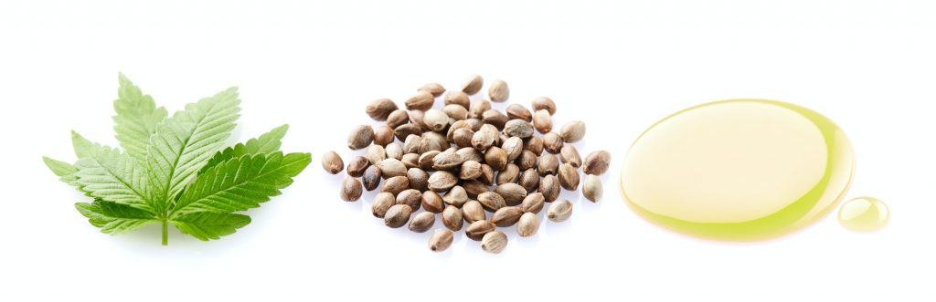 Hemp seeds with cannabis leaves