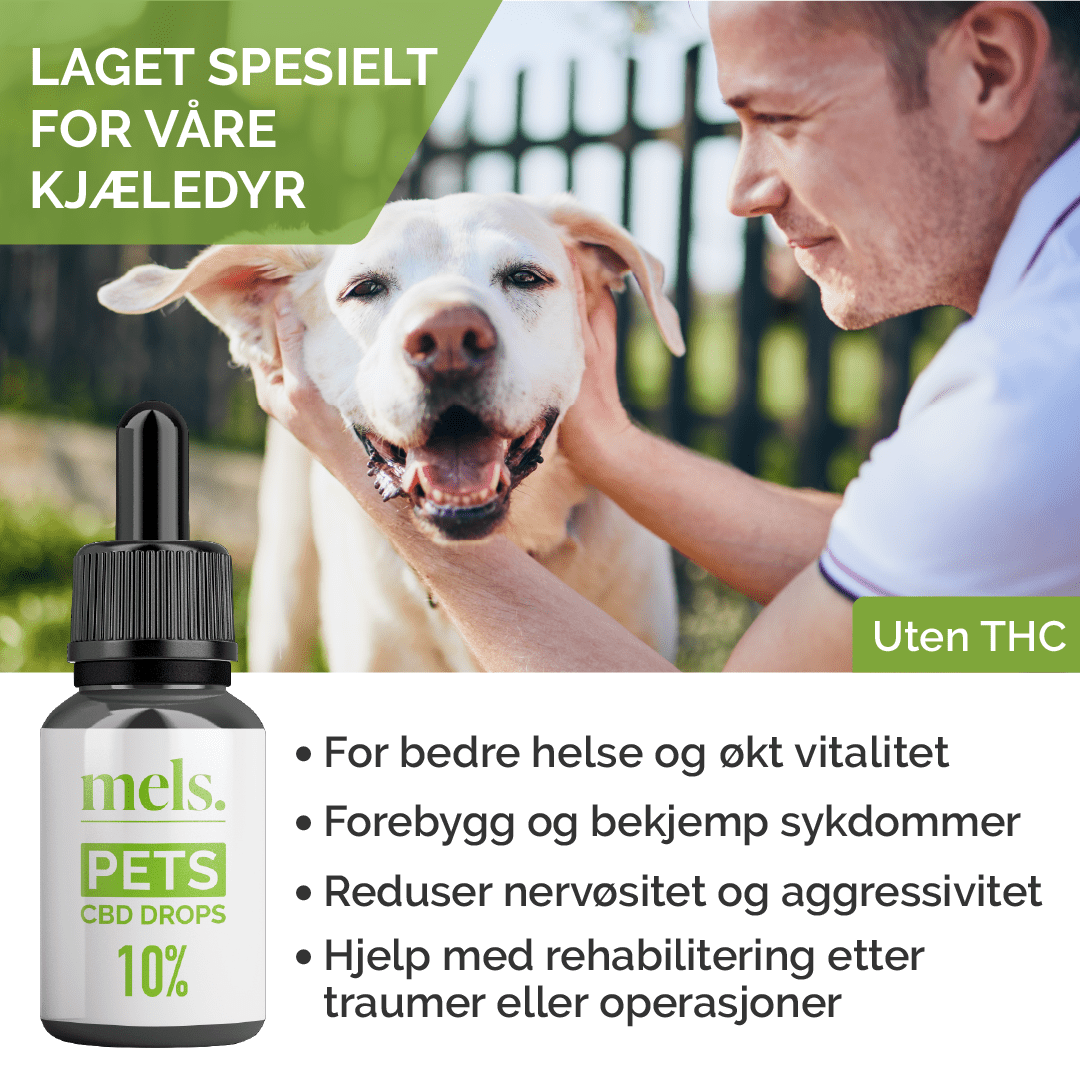 PETS CBD Drops 10% - Image 2