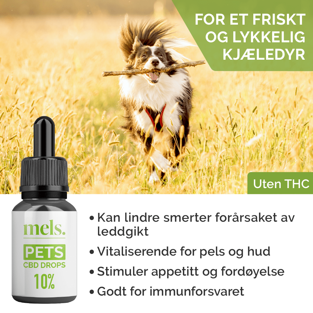 PETS CBD Drops 10% - Image 3