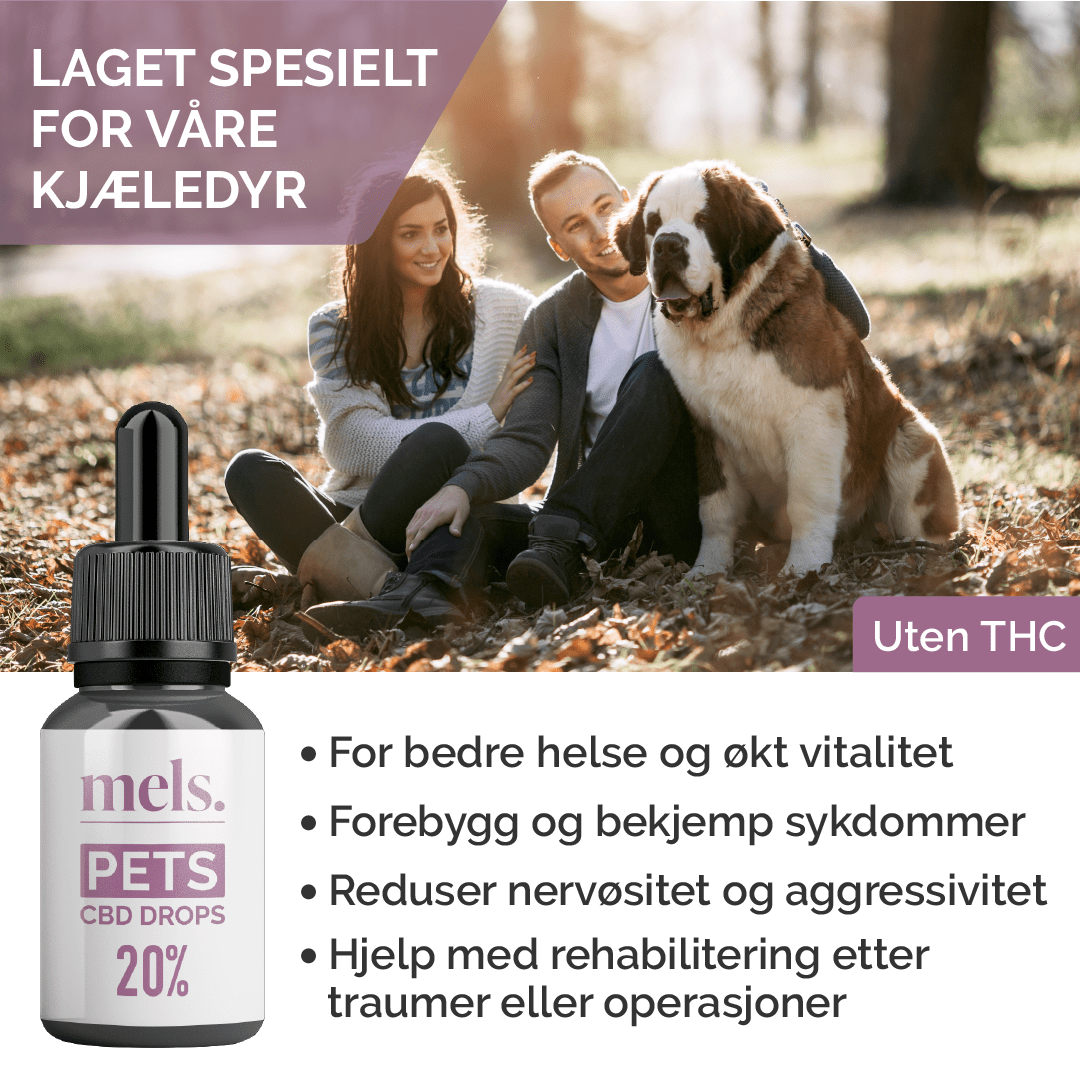 PETS CBD Drops 20% - Image 2