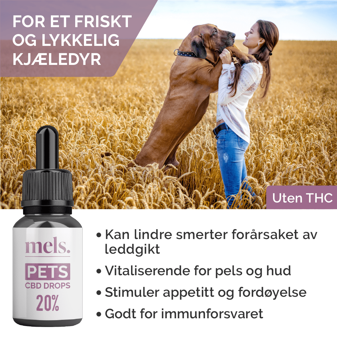 PETS CBD Drops 20% - Image 3