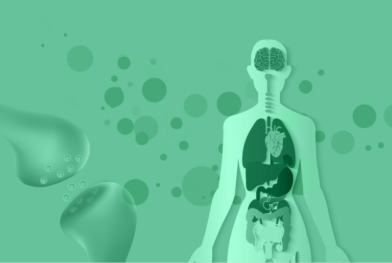 cbd reseptorer, cannabinoider, endocannabinoider