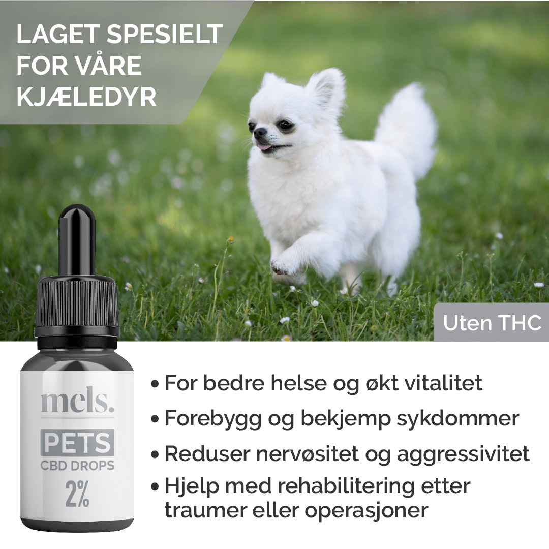 MELS PETS CBD drops for pets