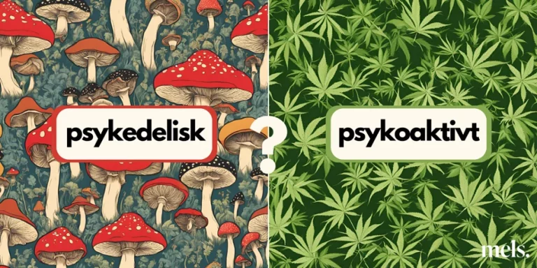 Psykoaktiv vs psykedelisk? 