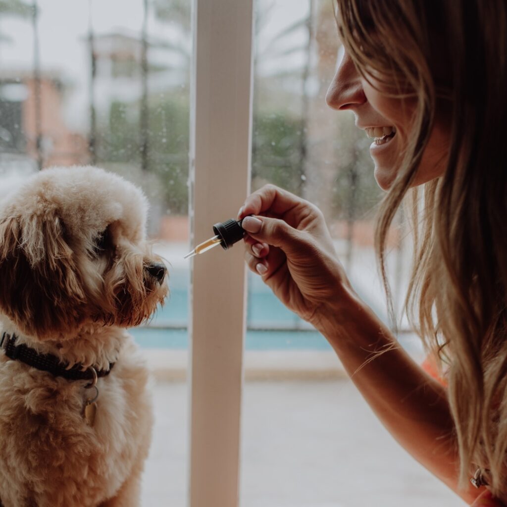 MELS Pets CBD drops