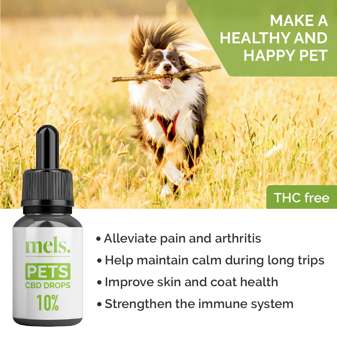 PETS CBD Drops 10% - Image 3
