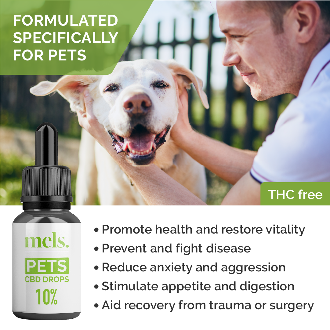 PETS CBD Drops 10% - Image 2